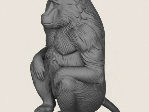 狒狒猴坐 3D 打印模型