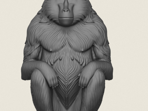 Бабуин-обезьяна сидит 3D Принт Модель