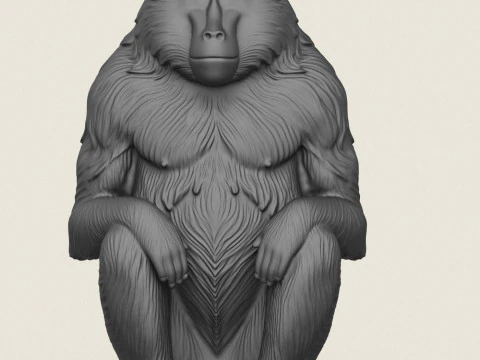 狒狒猴坐 3D 打印模型