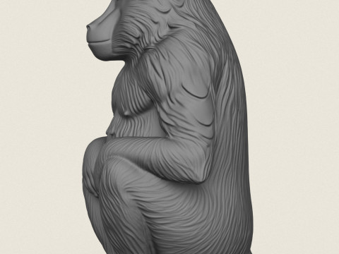 Бабуин-обезьяна сидит 3D Принт Модель