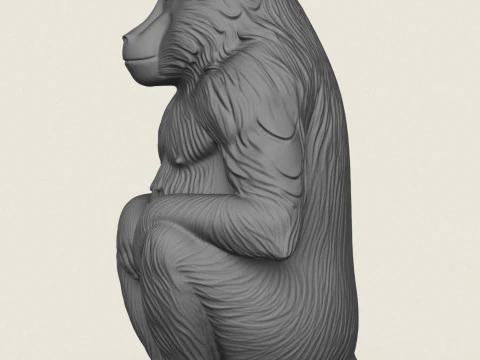 狒狒猴坐 3D 打印模型