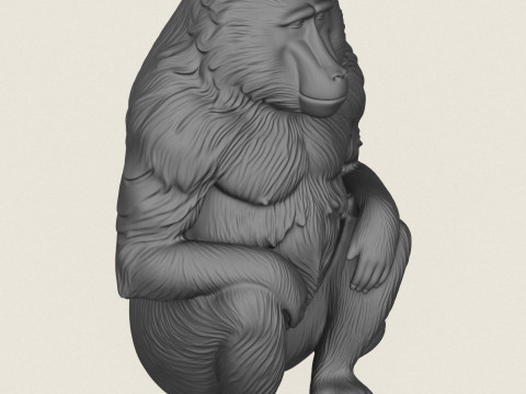 Бабуин-обезьяна сидит 3D Принт Модель