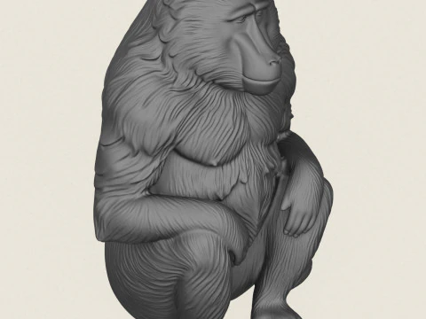狒狒猴坐 3D 打印模型