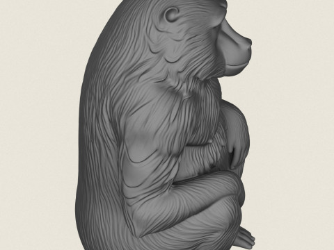 Бабуин-обезьяна сидит 3D Принт Модель