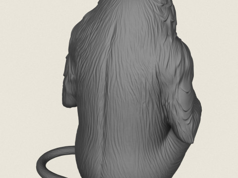 Бабуин-обезьяна сидит 3D Принт Модель