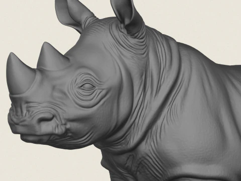 Rhinoceros Calf 3D Print Model