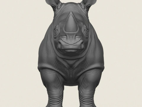 Rhinoceros Calf 3D Print Model