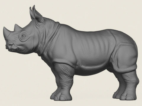 Rhinoceros Calf 3D Print Model