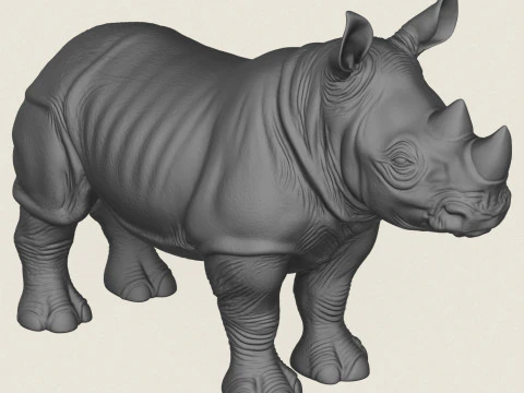 Rhinoceros Calf 3D Print Model