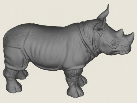 Rhinoceros Calf 3D Print Model