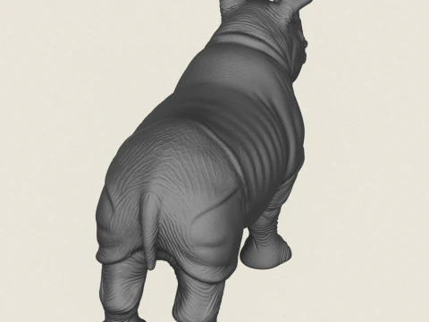 Rhinoceros Calf 3D Print Model