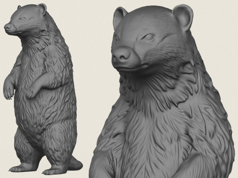 Tasso in piedi Modello di stampa 3D