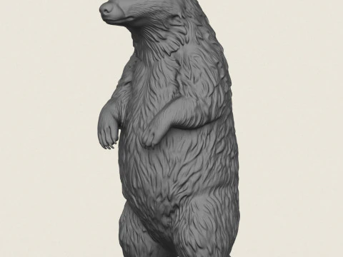 Badger Standing 3D Print Model