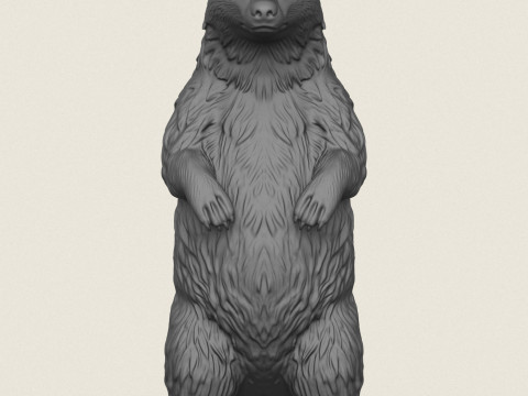 Борсук стоїть 3D Принт Модель