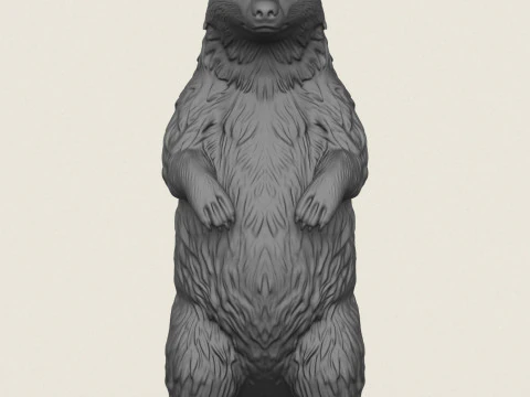 Badger Standing 3D Print Model