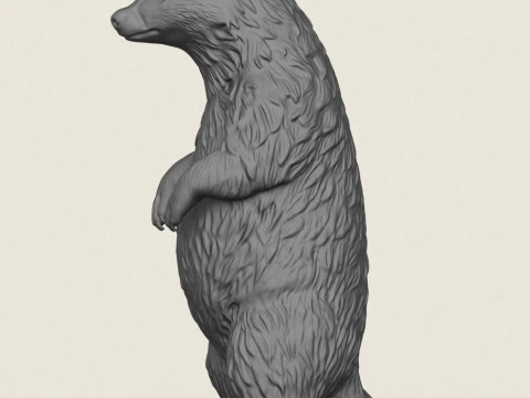 Badger Standing 3D Print Model