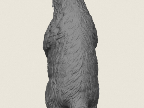 Борсук стоїть 3D Принт Модель