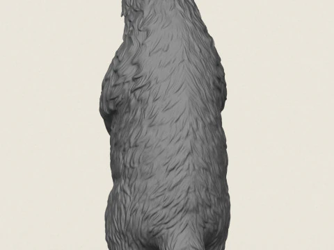 Badger Standing 3D Print Model