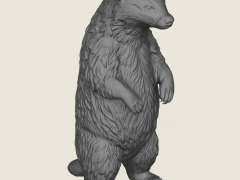 Борсук стоїть 3D Принт Модель