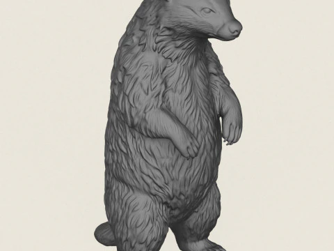 Badger Standing 3D Print Model