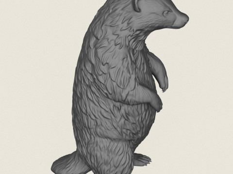 Борсук стоїть 3D Принт Модель