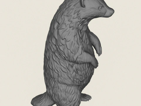 Badger Standing 3D Print Model