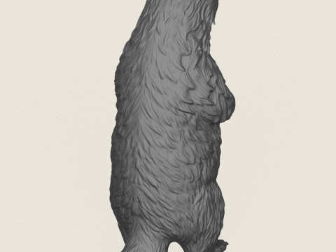 Борсук стоїть 3D Принт Модель