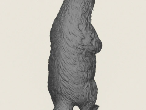 Badger Standing 3D Print Model
