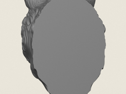 Wild Bear Head 3D Print Model