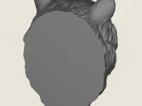 Vahşi Ayı Kafası 3D Baskı Modeli