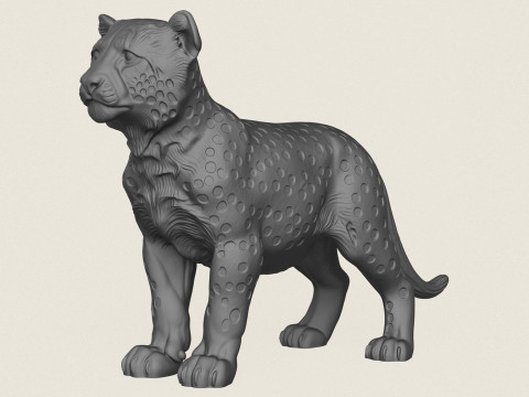 Cheetah Cub 3D Print Model