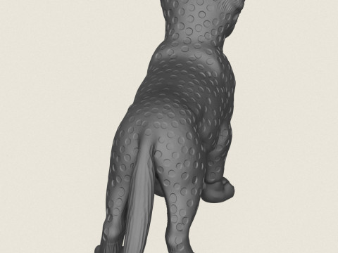 Cheetah Cub 3D Print Model