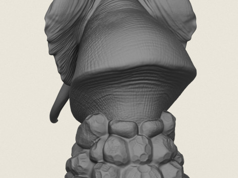 Fil B&uuml;st&uuml; 3D Baskı Modeli