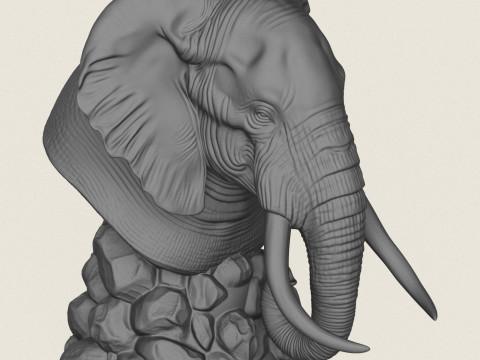 Fil B&uuml;st&uuml; 3D Baskı Modeli