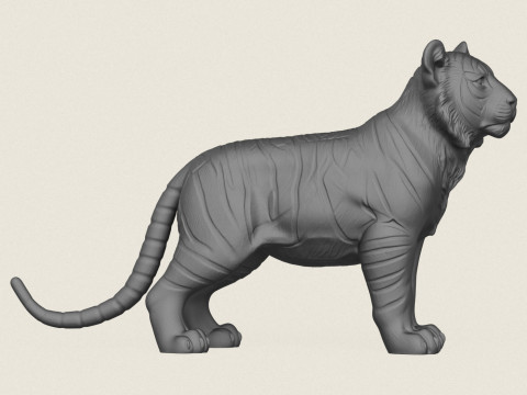 Tiger Cub 3D Print Model