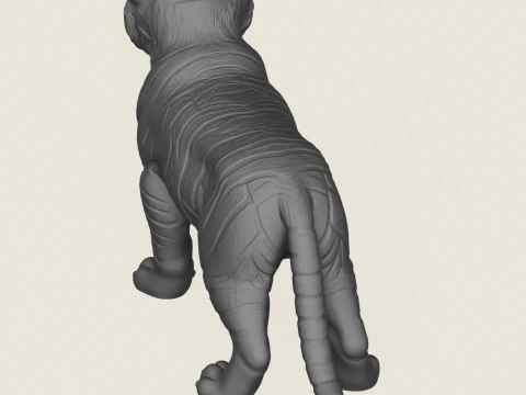 Tiger Cub 3D Print Model