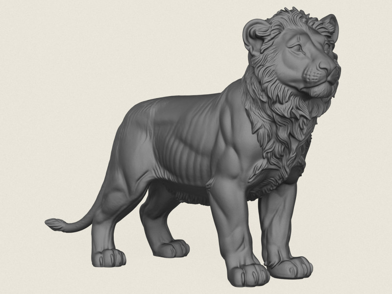 Lion Cub 3D Print Model .c4d .max .obj .3ds .fbx .stl .blend 