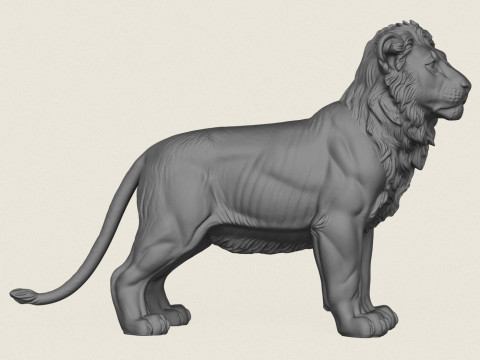 Lion Cub 3D Print Model