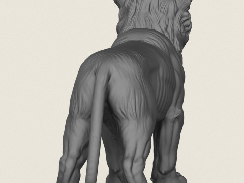 Lion Cub 3D Print Model