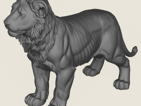 Lion Cub 3D Print Model