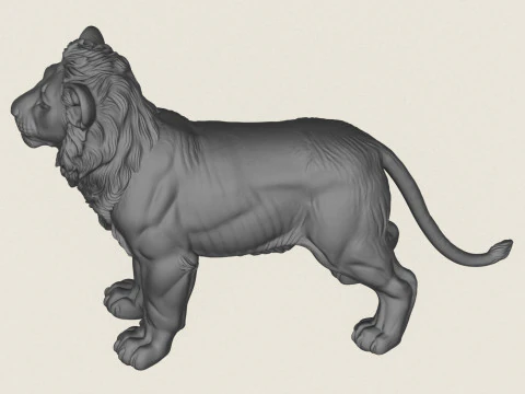 子ライオン 3Dプリントモデル