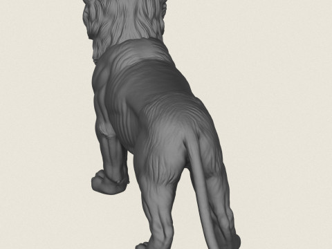 Lion Cub 3D Print Model