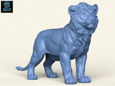 Lion Cub 3D Print Model
