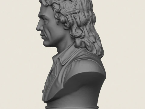 Sir Isaac Newton Bust 3D Print Model