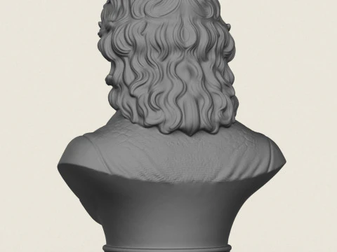 Sir Isaac Newton Bust 3D Print Model