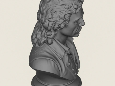 Sir Isaac Newton Bust 3D Print Model