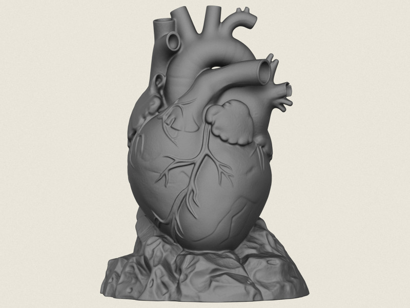Human Heart Sculpture 3D Print Model .c4d .max .obj .3ds .fbx .stl .blend 