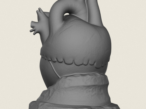 Human Heart Sculpture 3D Print Model