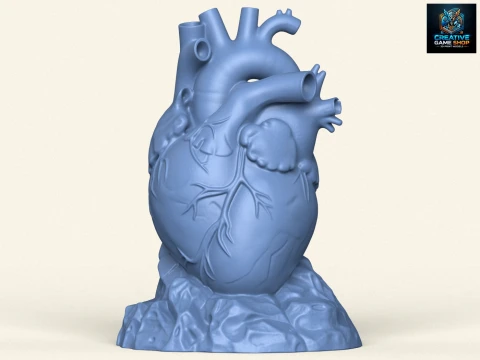 Sculpture de coeur humain Modèles 3D en vedette