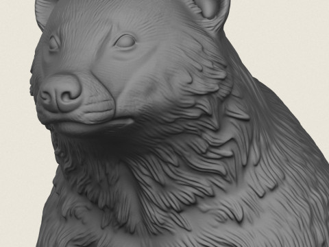 Wild Badger Bust 3D Print Model